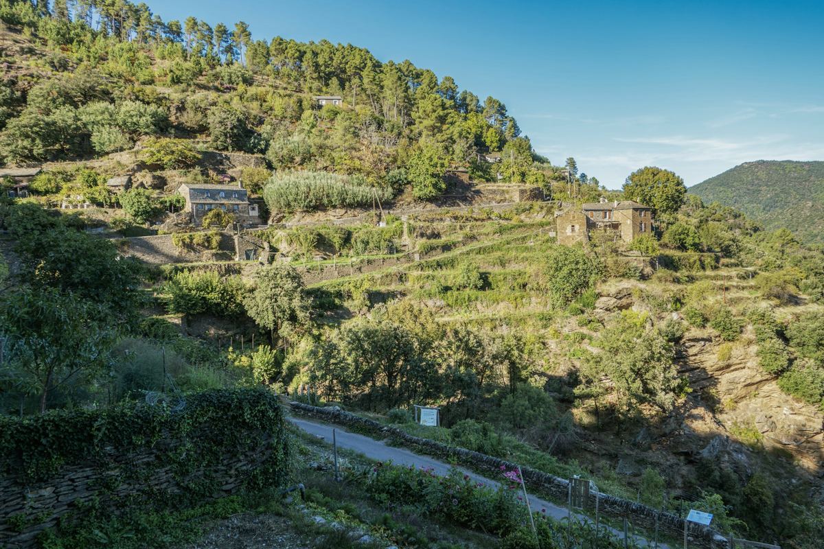 Dry-stone terraces and stone houses climbing a wooded hillside in evening light.